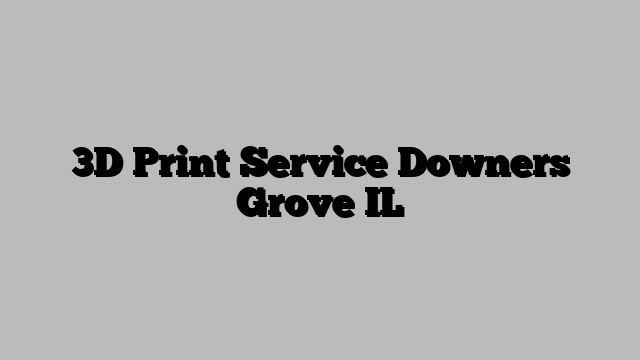 3D Print Service Downers Grove IL