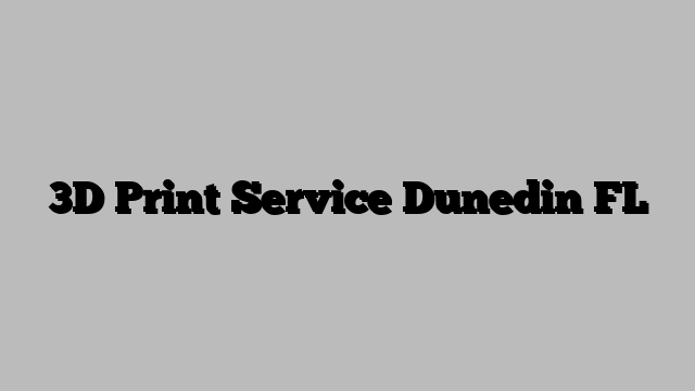 3D Print Service Dunedin FL