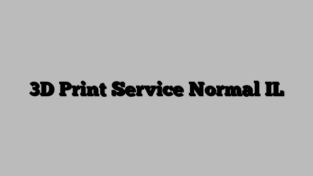 3D Print Service Normal IL