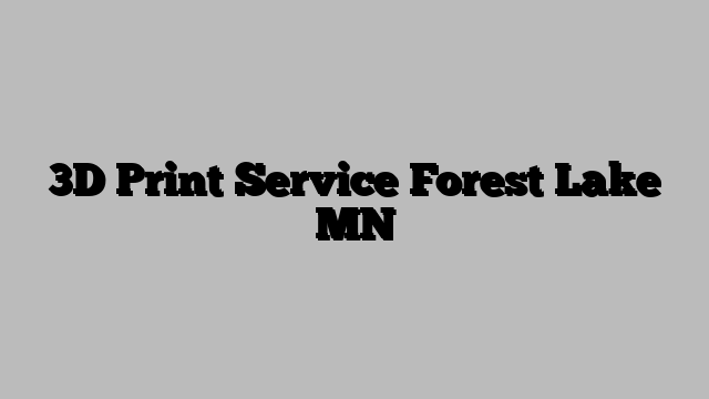 3D Print Service Forest Lake MN